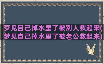 梦见自己掉水里了被别人救起来(梦见自己掉水里了被老公救起来)