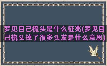 梦见自己梳头是什么征兆(梦见自己梳头掉了很多头发是什么意思)