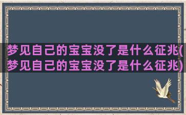 梦见自己的宝宝没了是什么征兆(梦见自己的宝宝没了是什么征兆)