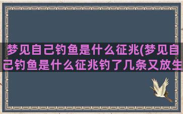 梦见自己钓鱼是什么征兆(梦见自己钓鱼是什么征兆钓了几条又放生了)