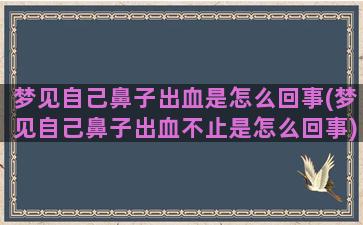 梦见自己鼻子出血是怎么回事(梦见自己鼻子出血不止是怎么回事)