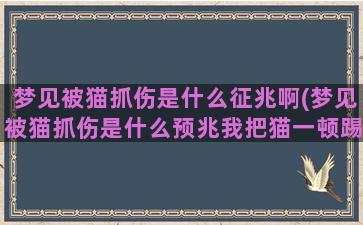 梦见被猫抓伤是什么征兆啊(梦见被猫抓伤是什么预兆我把猫一顿踢)