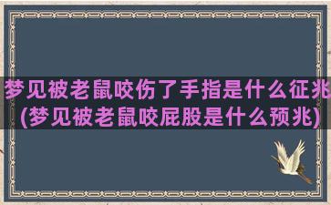 梦见被老鼠咬伤了手指是什么征兆(梦见被老鼠咬屁股是什么预兆)