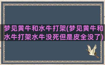 梦见黄牛和水牛打架(梦见黄牛和水牛打架水牛没死但是皮全没了)