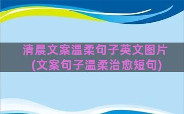 清晨文案温柔句子英文图片(文案句子温柔治愈短句)