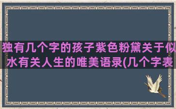 独有几个字的孩子紫色粉黛关于似水有关人生的唯美语录(几个字表达对孩子的爱)