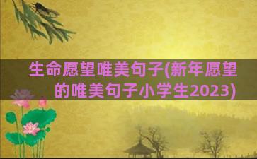 生命愿望唯美句子(新年愿望的唯美句子小学生2023)