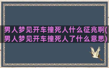 男人梦见开车撞死人什么征兆啊(男人梦见开车撞死人了什么意思)