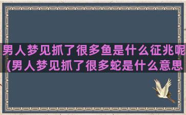 男人梦见抓了很多鱼是什么征兆呢(男人梦见抓了很多蛇是什么意思)