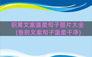 积累文案温柔句子图片大全(告别文案句子温柔干净)