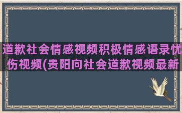 道歉社会情感视频积极情感语录忧伤视频(贵阳向社会道歉视频最新)