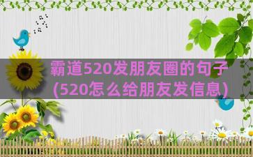 霸道520发朋友圈的句子(520怎么给朋友发信息)