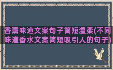 香薰味道文案句子简短温柔(不同味道香水文案简短吸引人的句子)